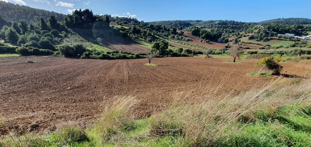 γη προς πώληση 4100 τ.μ Κασσάνδρα Χαλκιδική
