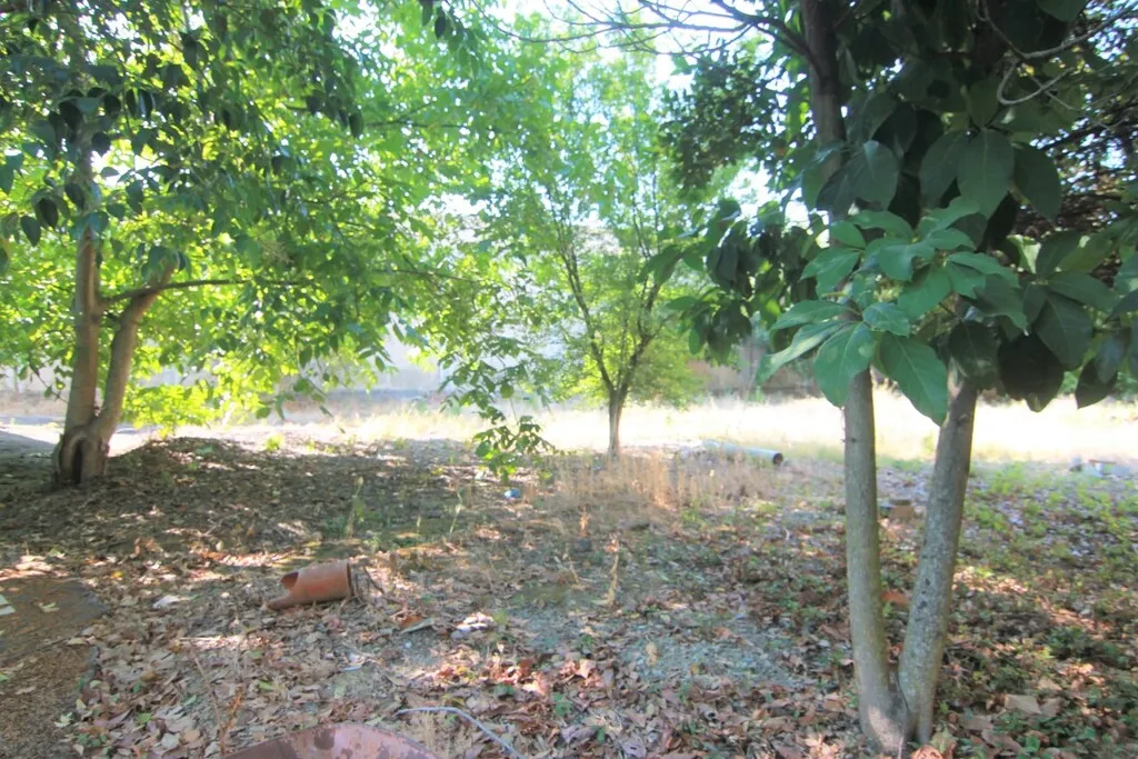 γη προς πώληση 1342 τ.μ Κέρκυρα Νομός Κέρκυρας