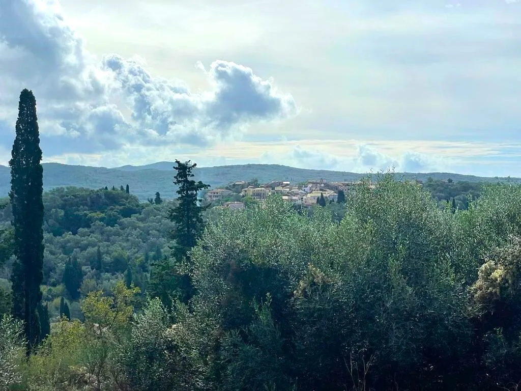 γη προς πώληση 12000 τ.μ Κέρκυρα Νομός Κέρκυρας