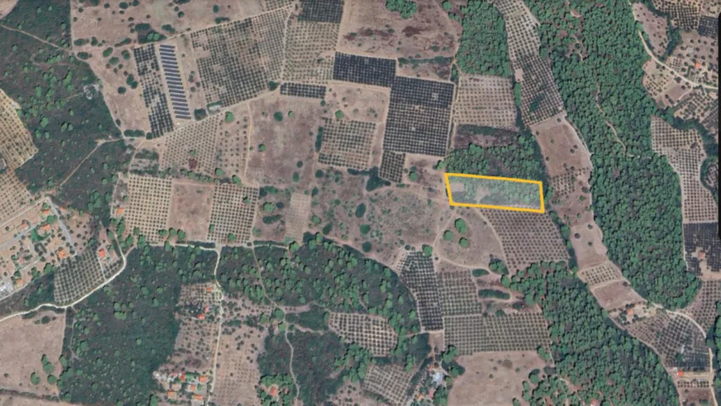 γη προς πώληση 10000 τ.μ Πολύγυρος Χαλκιδική