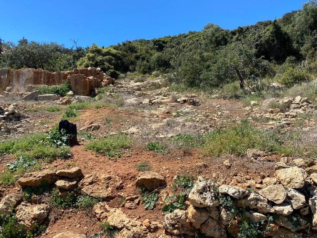 γη προς πώληση 805 τ.μ Κολυμβάρι Νομός Χανίων