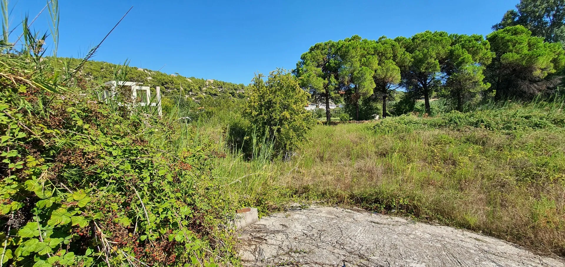 γη προς πώληση 2000 τ.μ Σιθωνία Χαλκιδική