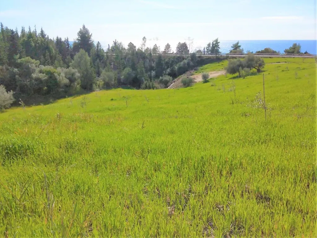 γη προς πώληση 15000 τ.μ Ζάλογγο Νομός Πρέβεζας