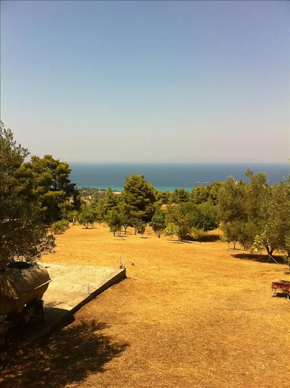 οικόπεδο προς πώληση 12200 τ.μ Κασσάνδρα Χαλκιδική