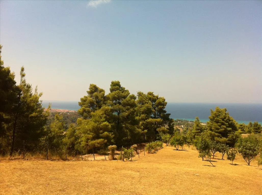 οικόπεδο προς πώληση 12200 τ.μ Κασσάνδρα Χαλκιδική