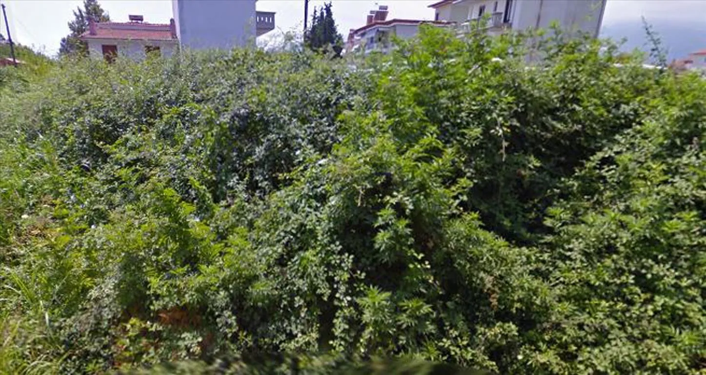 οικόπεδο προς πώληση 172 τ.μ  Νομός Πιερίας