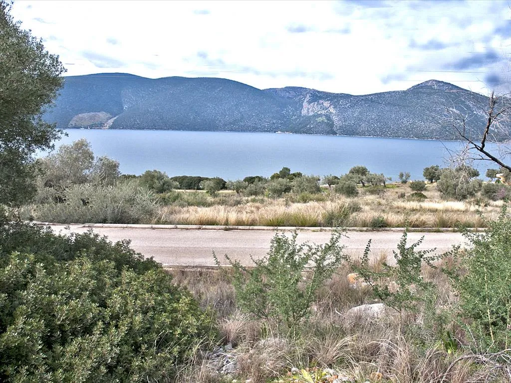 οικόπεδο προς πώληση 1100 τ.μ Ανθηδώνα Εύβοια