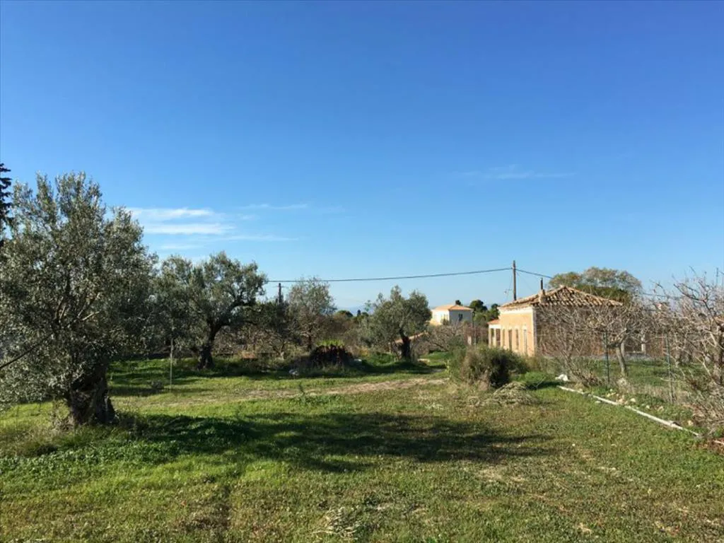 οικόπεδο προς πώληση 6458 τ.μ Αίγινα Νησιά Αργοσαρωνικού
