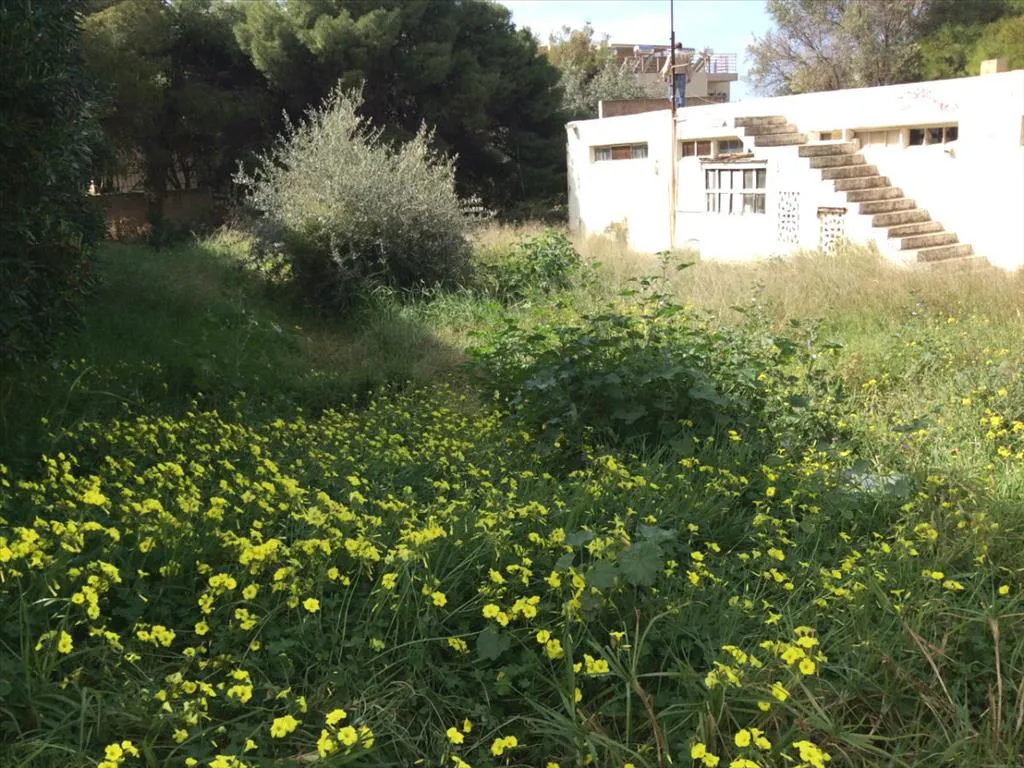 οικόπεδο προς πώληση 1300 τ.μ Σαρωνίδα Υπόλοιπη Αττικής