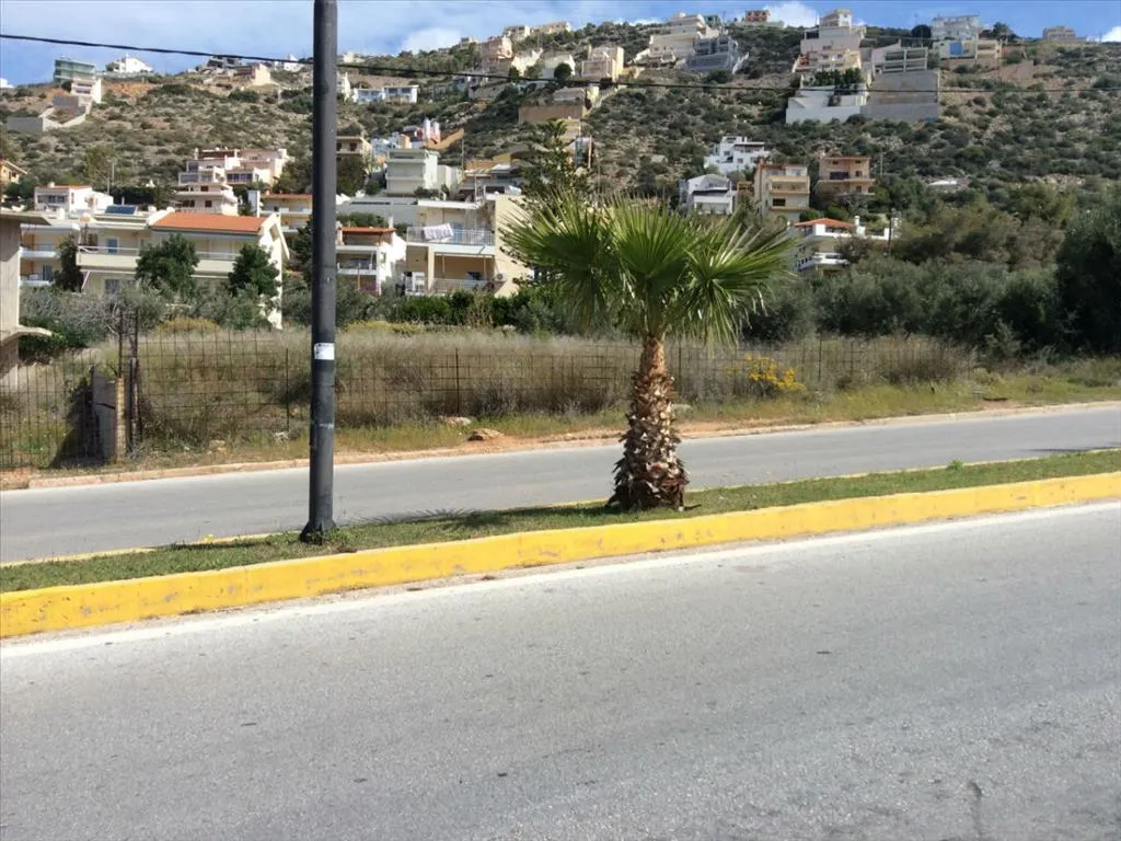 οικόπεδο προς πώληση 1300 τ.μ Σαρωνίδα Υπόλοιπη Αττικής