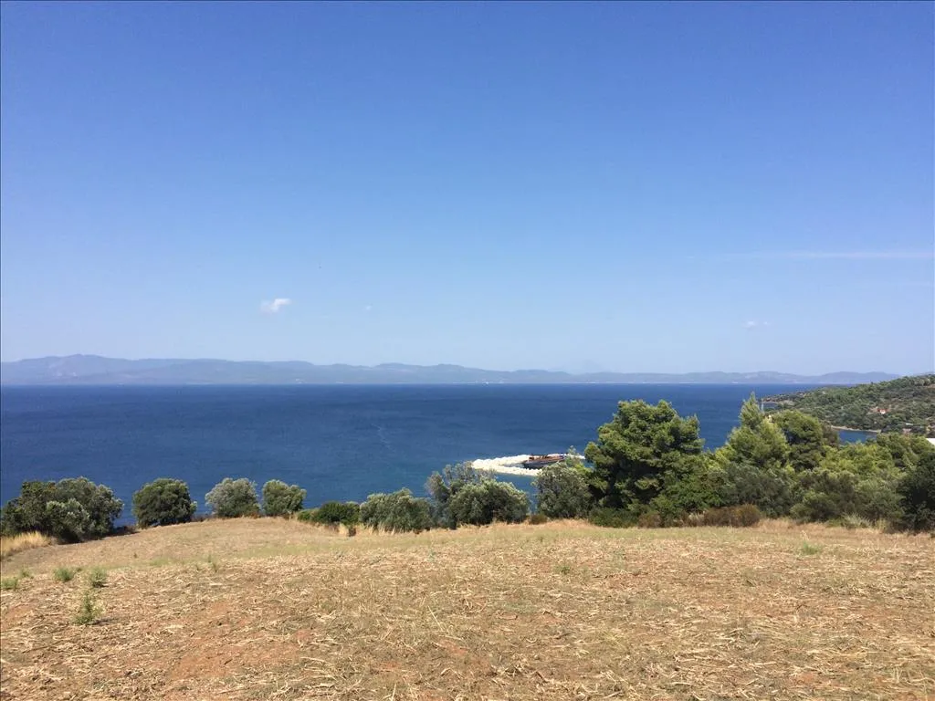οικόπεδο προς πώληση 10170 τ.μ Κασσάνδρα Χαλκιδική