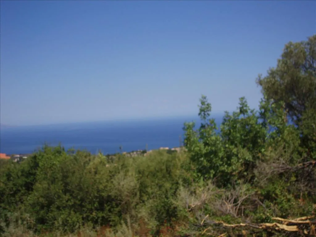 επιχείρηση προς πώληση  τ.μ Κύρια περιοχή πόλης Ζάκυνθος