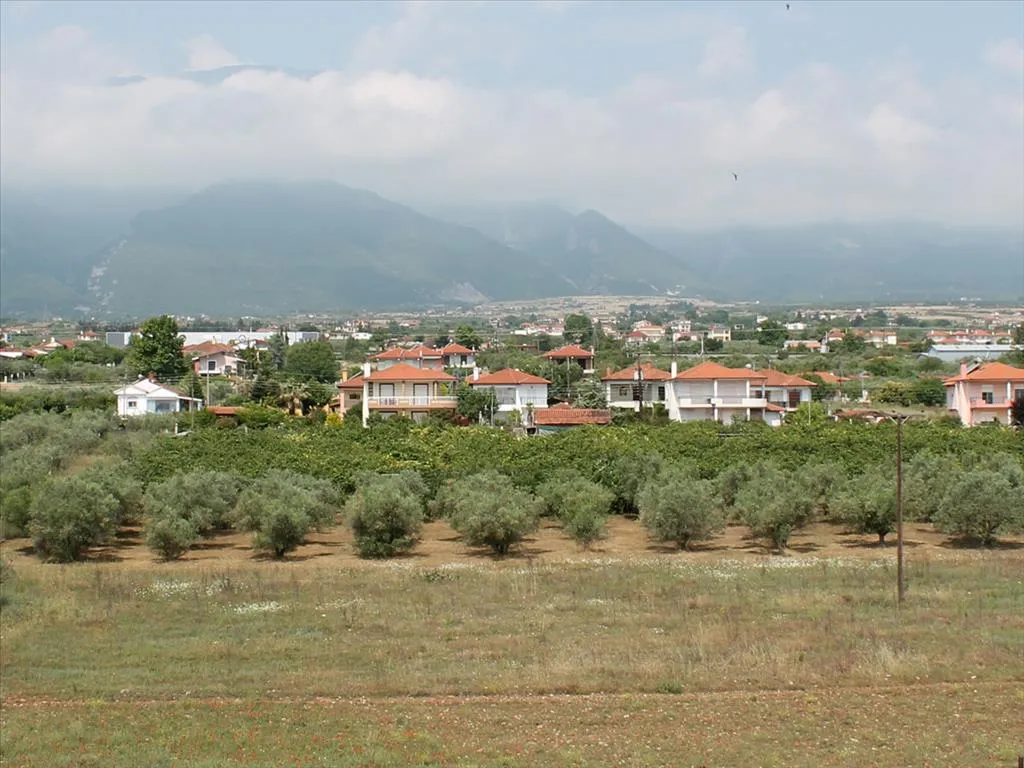 οικόπεδο προς πώληση 2000 τ.μ Λιτόχωρο Νομός Πιερίας