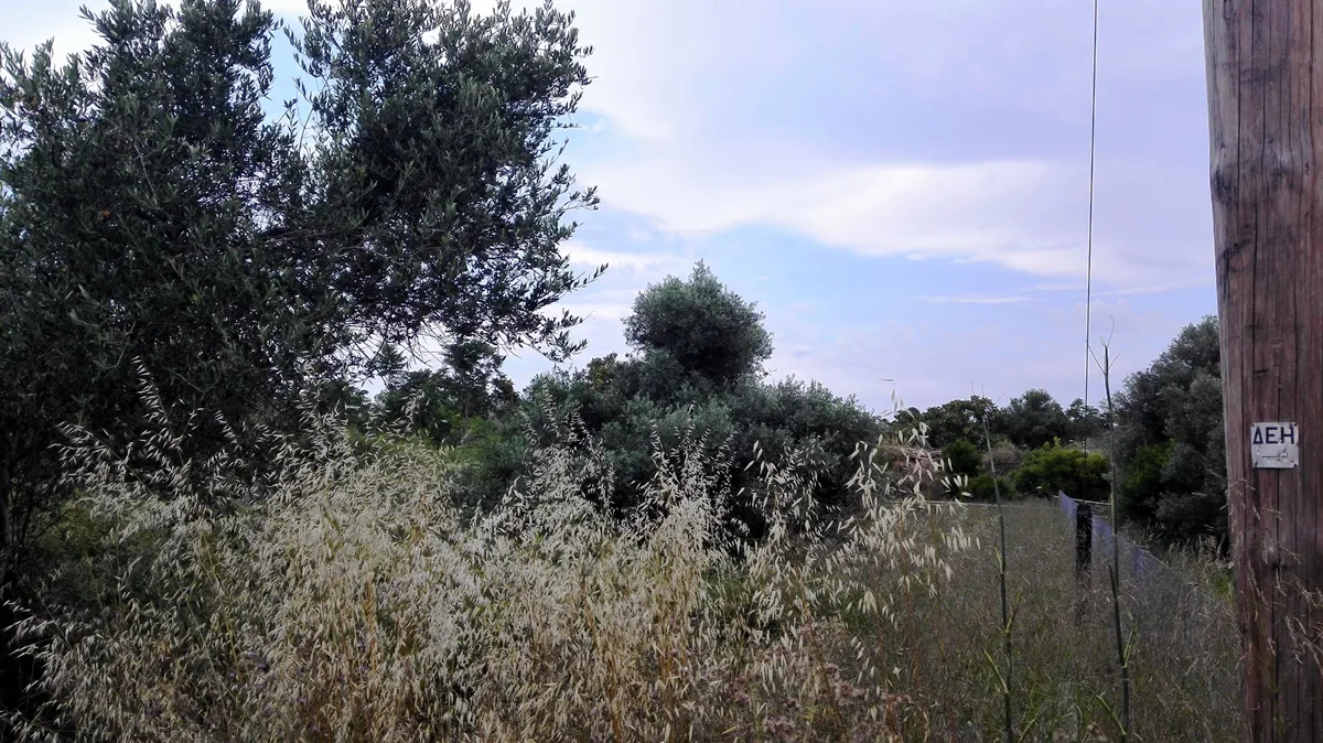 οικόπεδο προς πώληση 400 τ.μ Σφακιά Νομός Χανίων