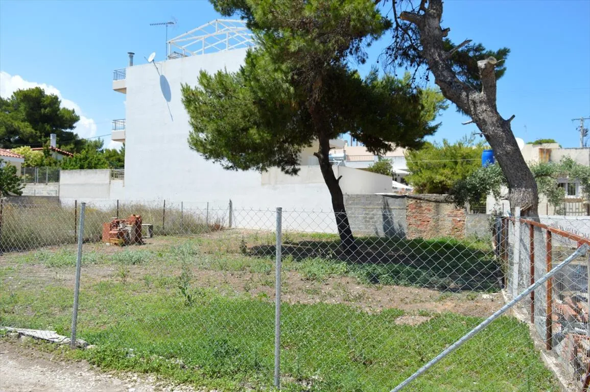 οικόπεδο προς πώληση 250 τ.μ Αρτέμιδα (Λούτσα) Ανατολικά Αθήνας