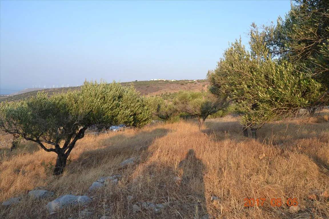 οικόπεδο προς πώληση 11000 τ.μ Άγιος Νικόλαος Νομός Λασιθίου