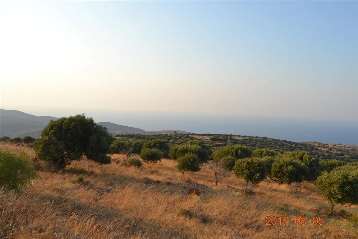 οικόπεδο προς πώληση 11000 τ.μ Άγιος Νικόλαος Νομός Λασιθίου