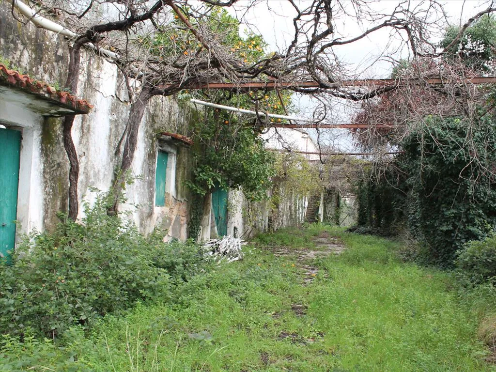 οικόπεδο προς πώληση  τ.μ Κέρκυρα Νομός Κέρκυρας