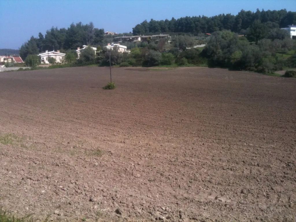 οικόπεδο προς πώληση 4100 τ.μ Κασσάνδρα Χαλκιδική