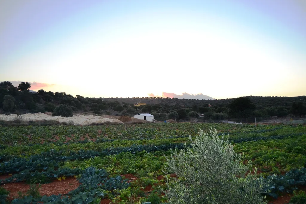 οικόπεδο προς πώληση 12500 τ.μ Χερσόνησος Νομός Ηρακλείου