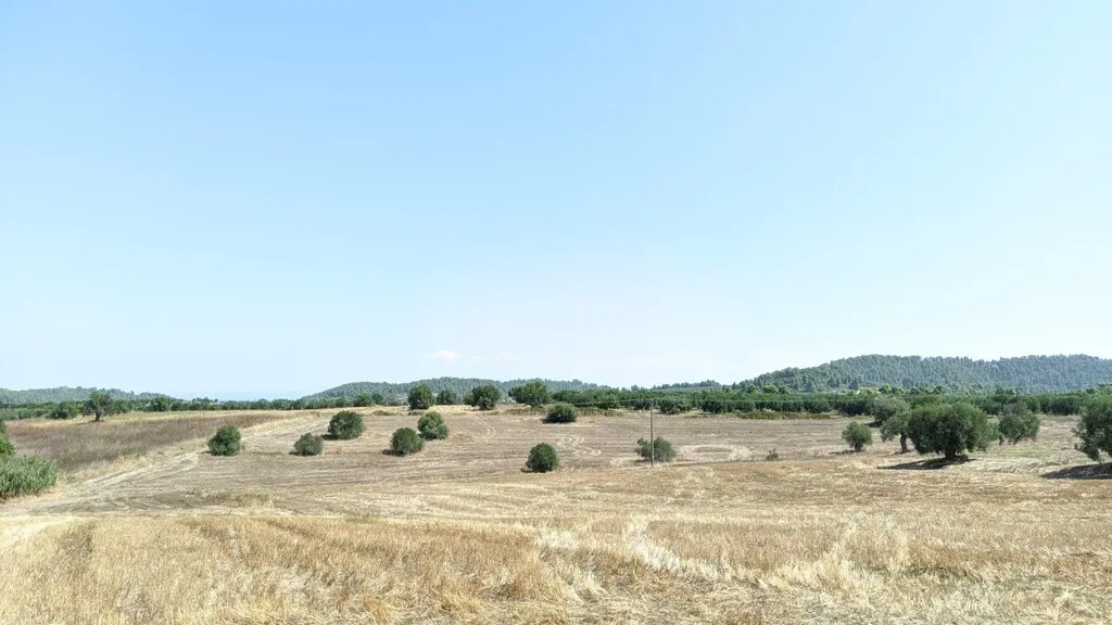 οικόπεδο προς πώληση 6000 τ.μ Κασσάνδρα Χαλκιδική