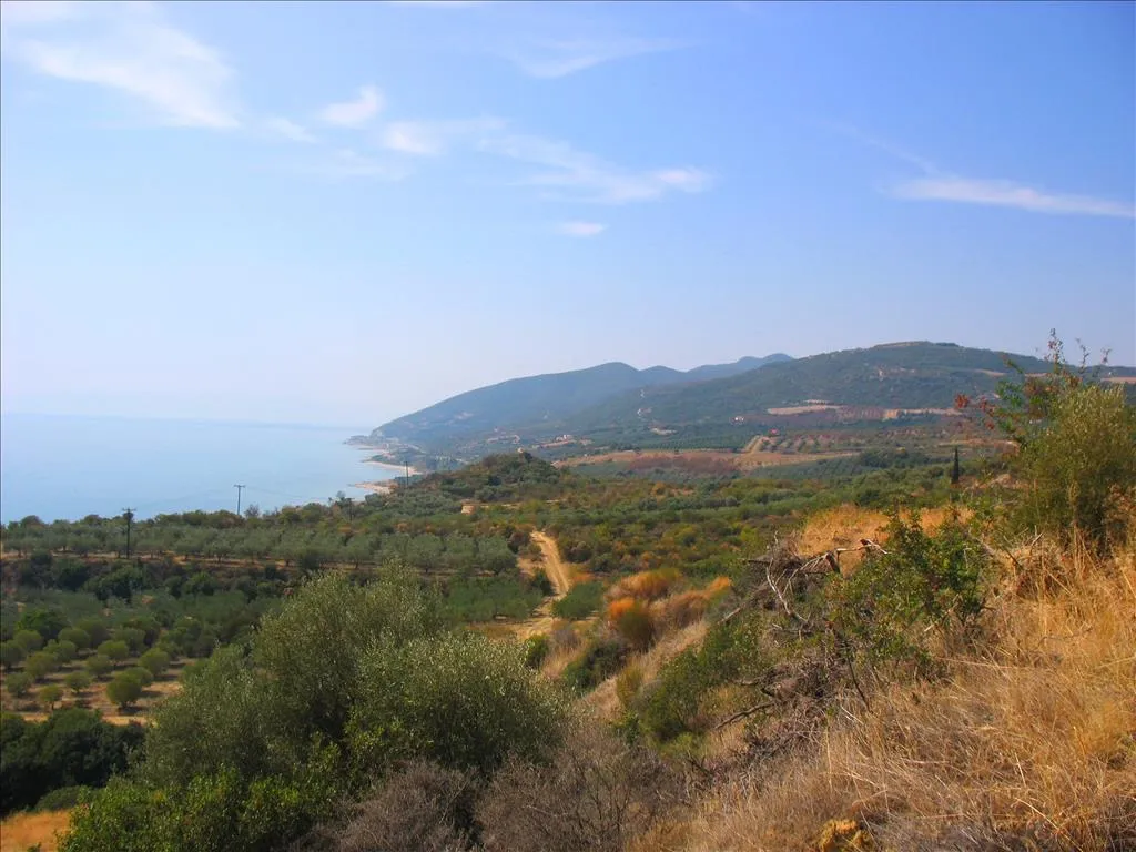 οικόπεδο προς πώληση 5650 τ.μ Ορφάνι Νομός Καβάλας