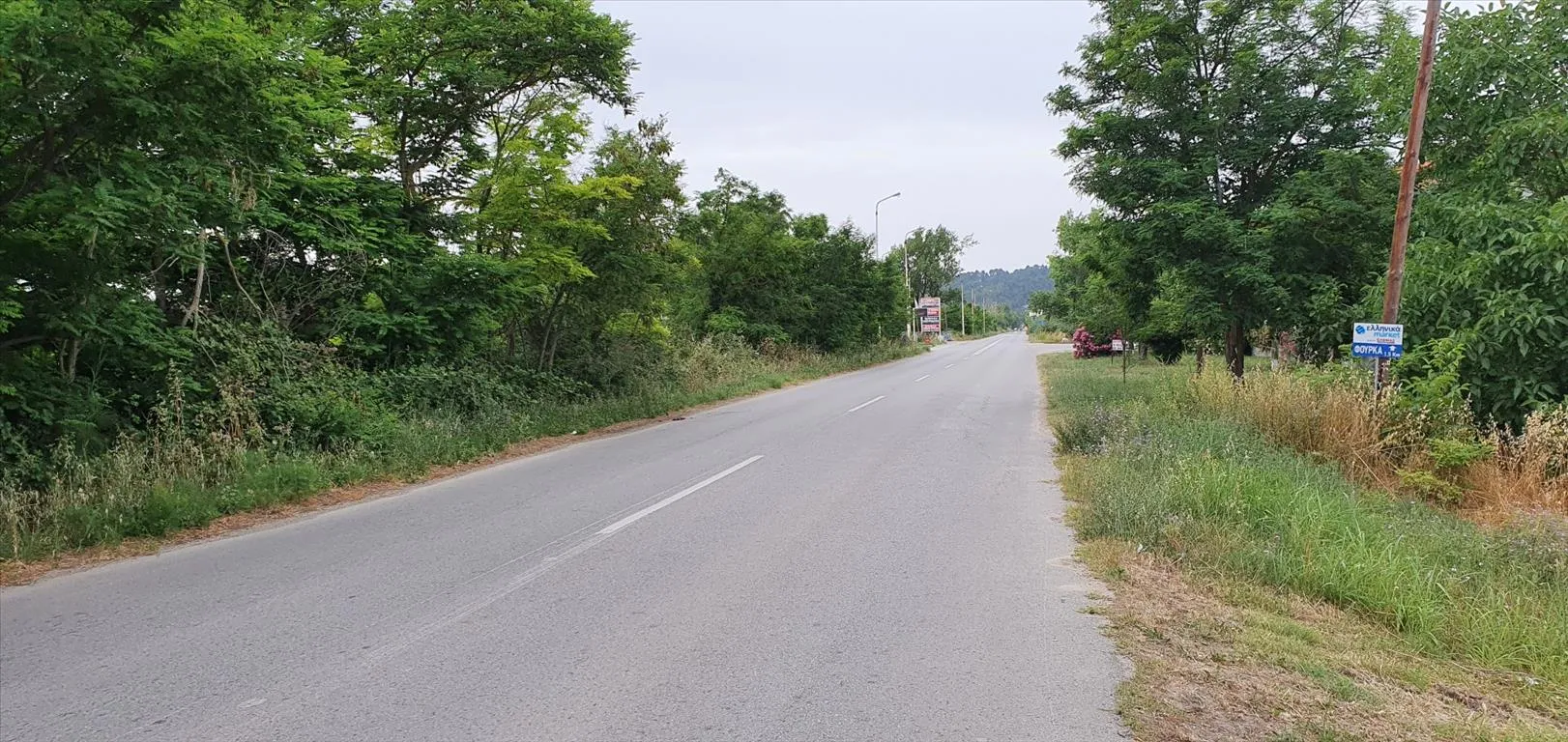 οικόπεδο προς πώληση 5000 τ.μ Κασσάνδρα Χαλκιδική