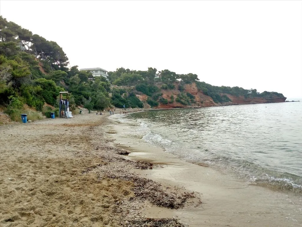 οικόπεδο προς πώληση 2000 τ.μ Ραφήνα Υπόλοιπη Αττικής