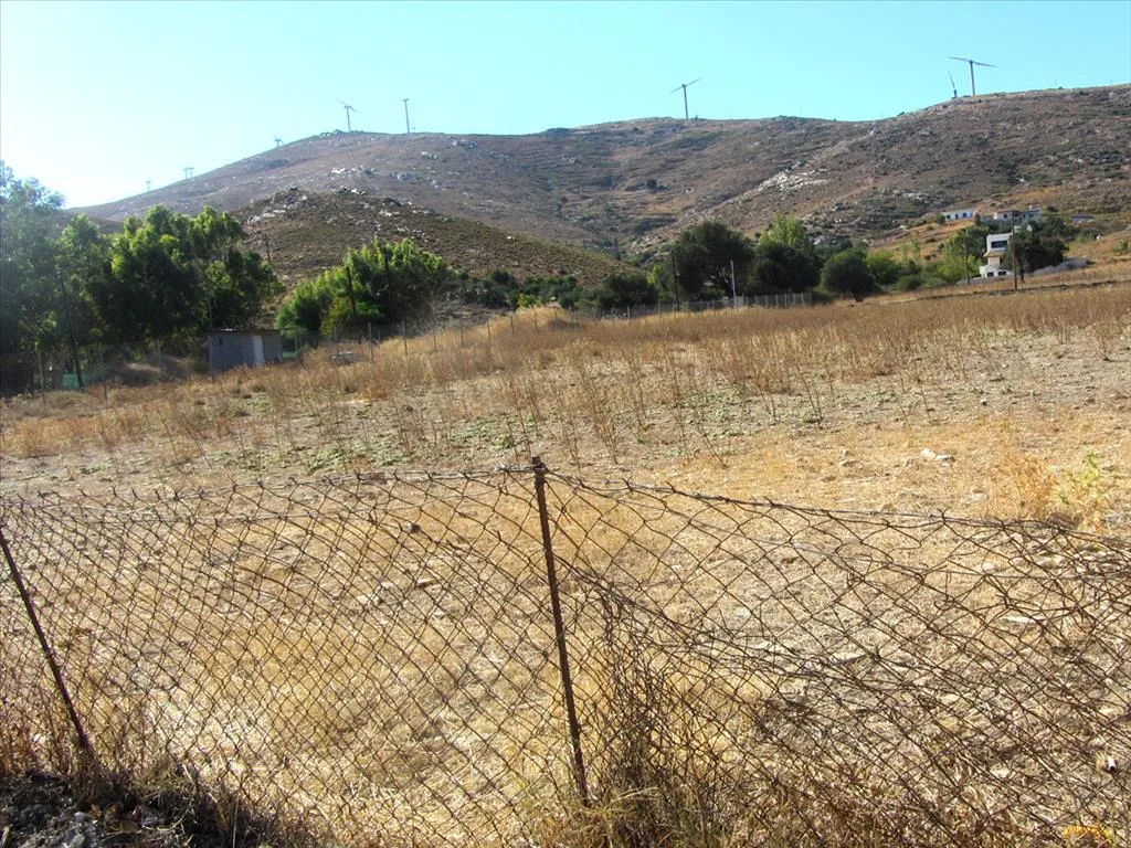 οικόπεδο προς πώληση 2000 τ.μ Κάρυστος Εύβοια