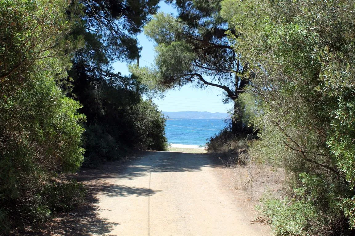 οικόπεδο προς πώληση 9000 τ.μ Σιθωνία Χαλκιδική