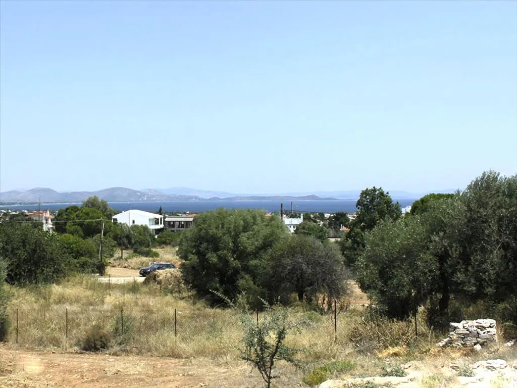 οικόπεδο προς πώληση 903 τ.μ Μαραθώνας Ανατολικά Αθήνας