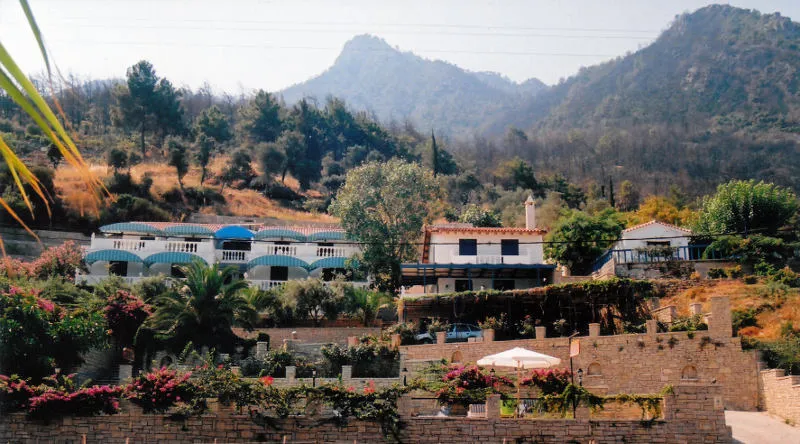 800