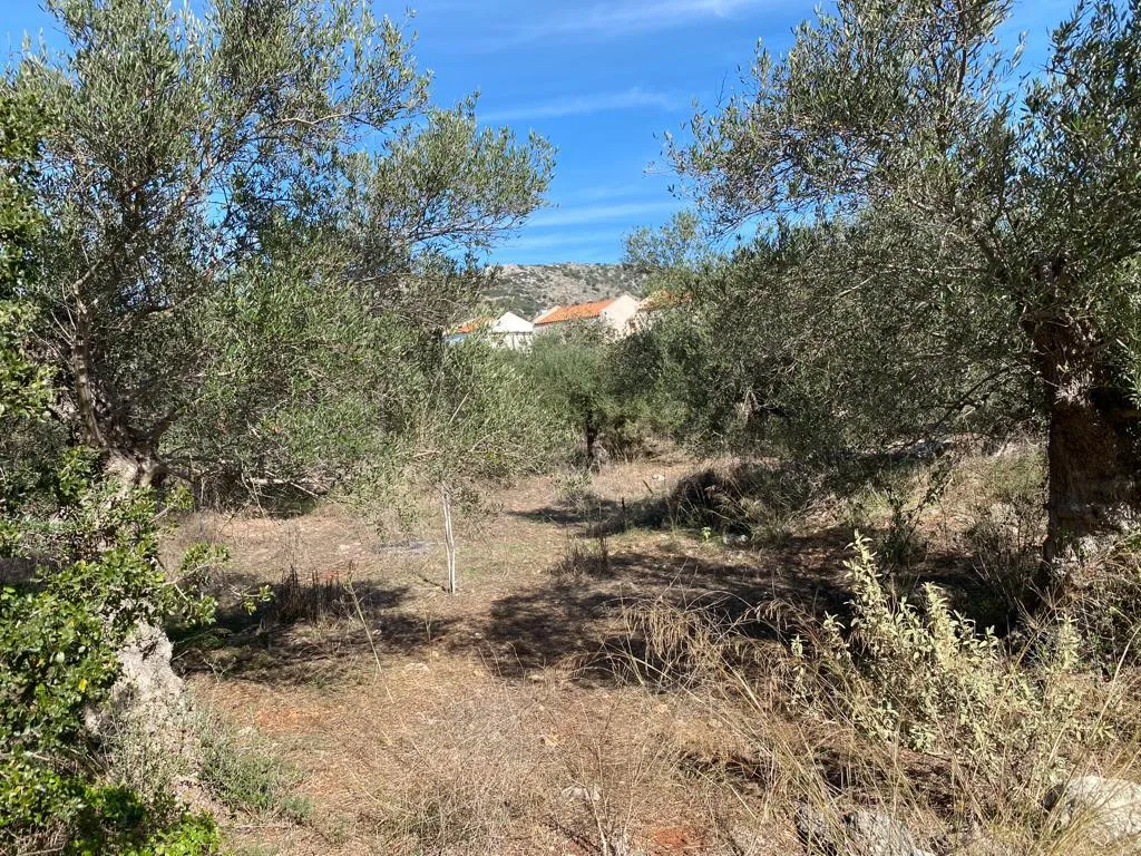 οικόπεδο προς πώληση 831 τ.μ Βάμος Νομός Χανίων