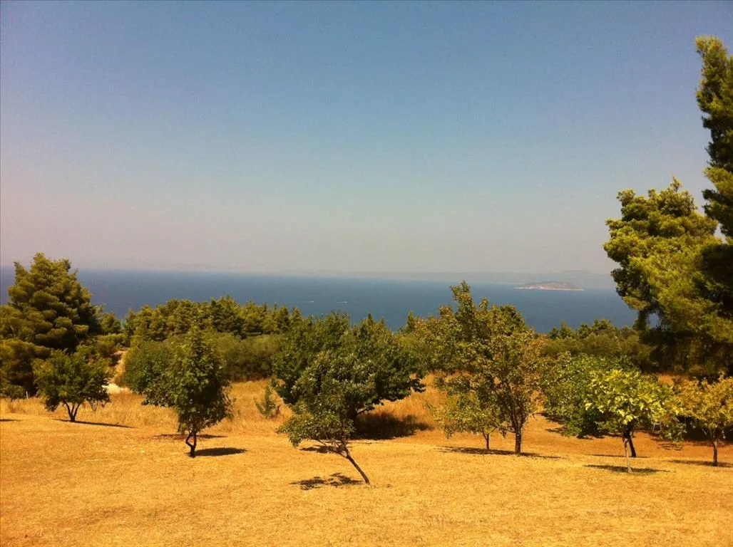 οικόπεδο προς πώληση 12200 τ.μ Κασσάνδρα Χαλκιδική