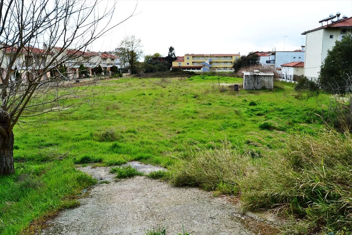 οικόπεδο προς πώληση 5300 τ.μ Κασσάνδρα Χαλκιδική