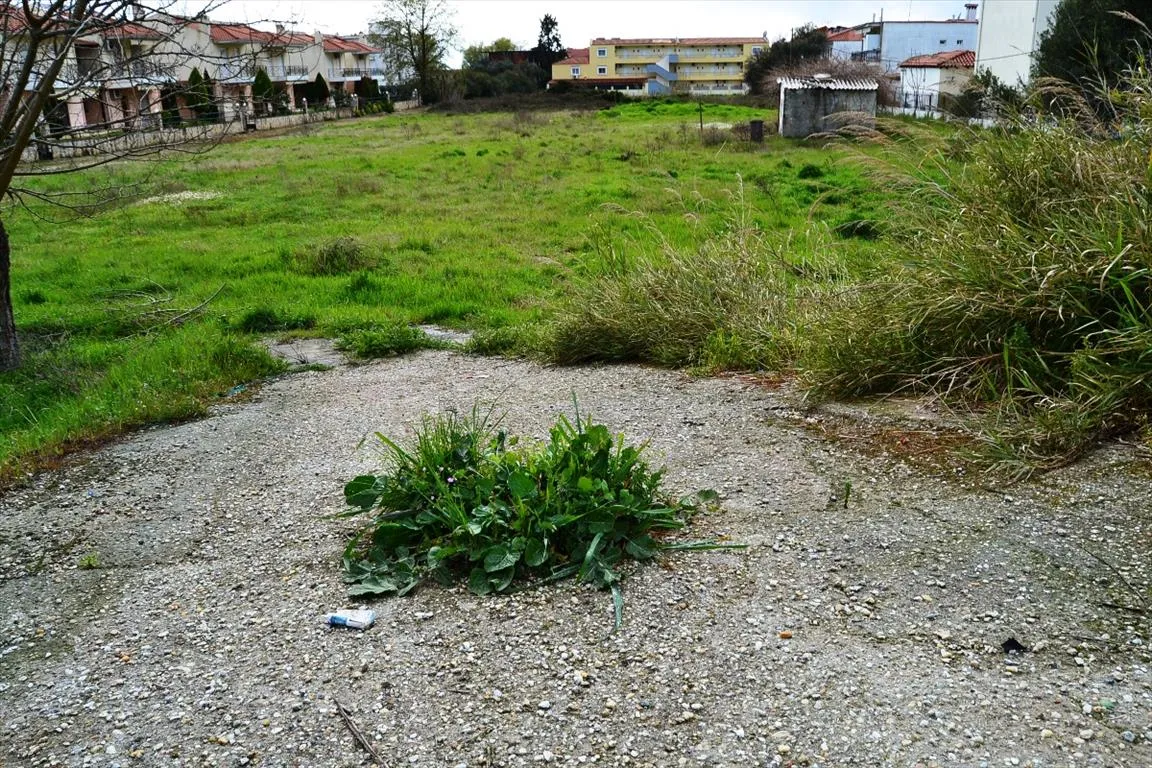 οικόπεδο προς πώληση 5300 τ.μ Κασσάνδρα Χαλκιδική