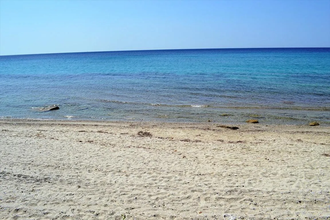 οικόπεδο προς πώληση 12500 τ.μ Κασσάνδρα Χαλκιδική