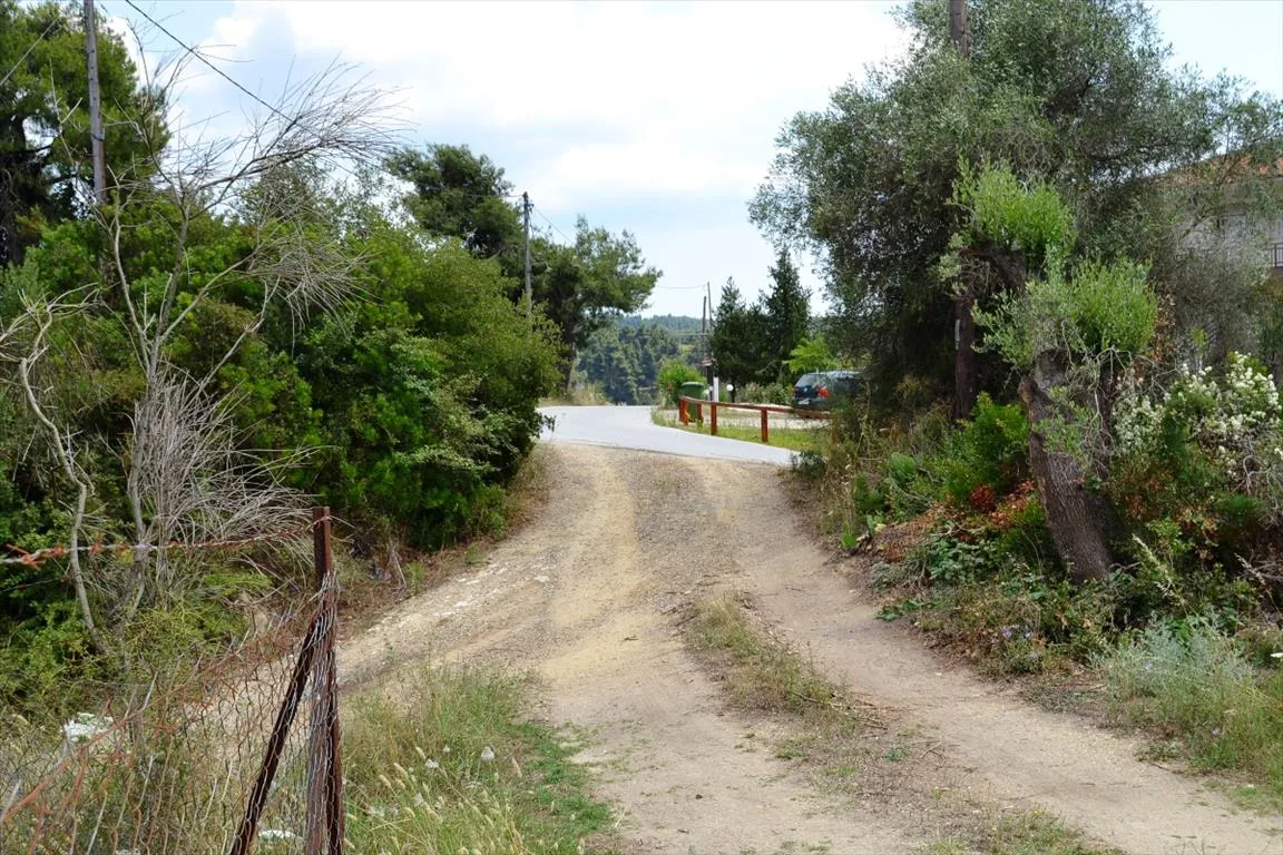 οικόπεδο προς πώληση 11500 τ.μ Κασσάνδρα Χαλκιδική