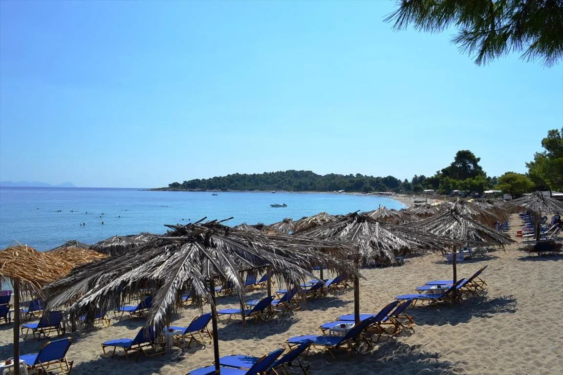 οικόπεδο προς πώληση 15500 τ.μ Κασσάνδρα Χαλκιδική