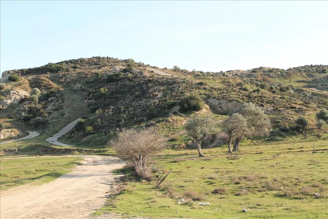 οικόπεδο προς πώληση 500 τ.μ Σιθωνία Χαλκιδική
