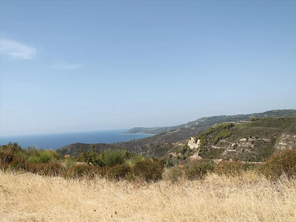 οικόπεδο προς πώληση 51000 τ.μ Κασσάνδρα Χαλκιδική