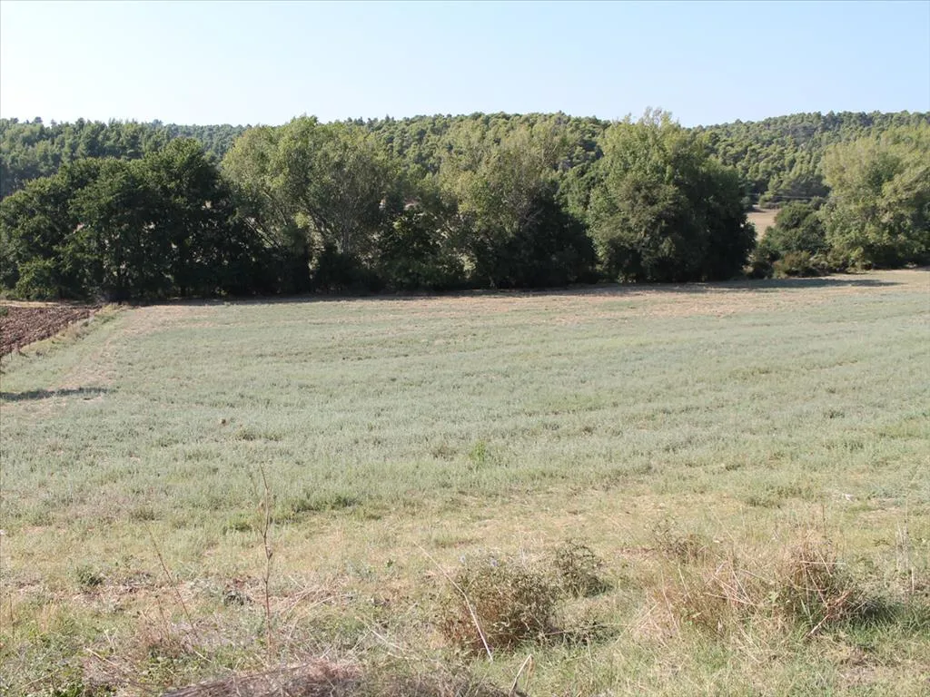 οικόπεδο προς πώληση 13500 τ.μ Κασσάνδρα Χαλκιδική
