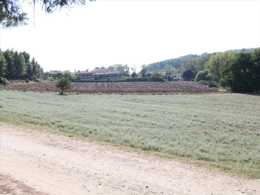 οικόπεδο προς πώληση 13500 τ.μ Κασσάνδρα Χαλκιδική