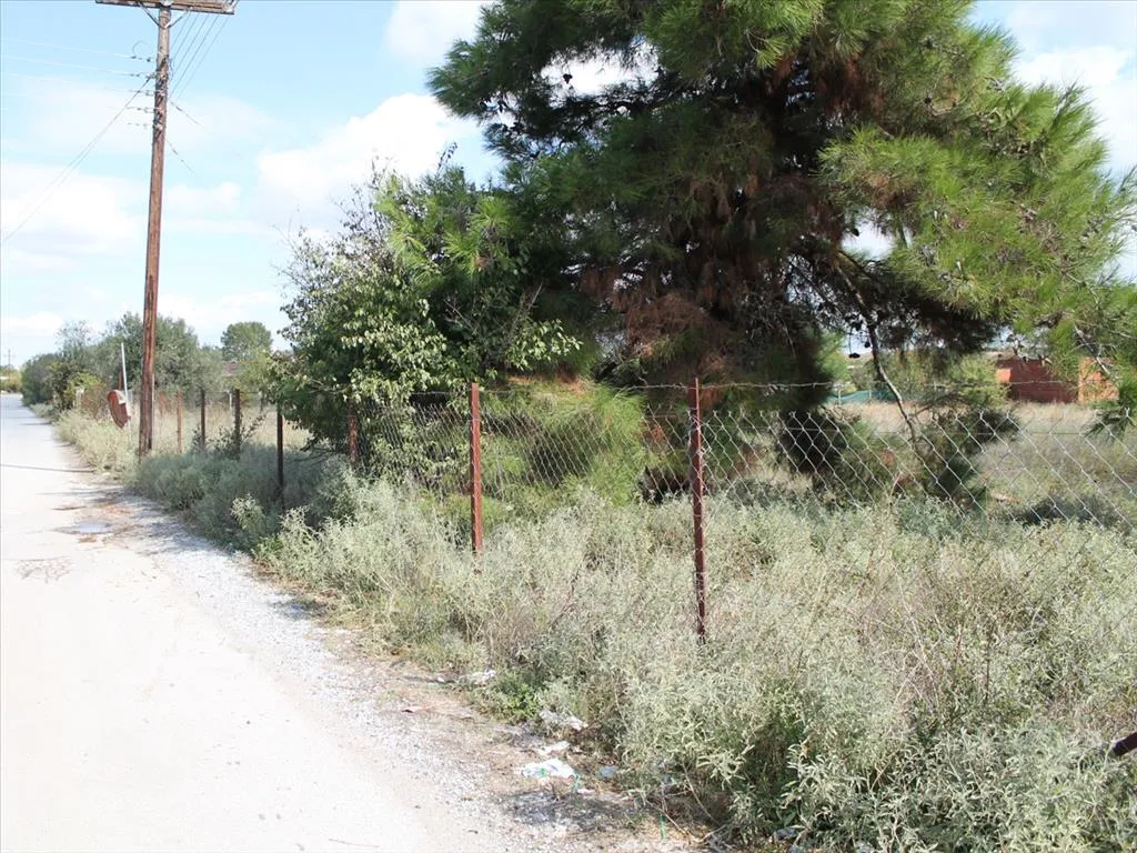 οικόπεδο προς πώληση  τ.μ  Χαλκιδική