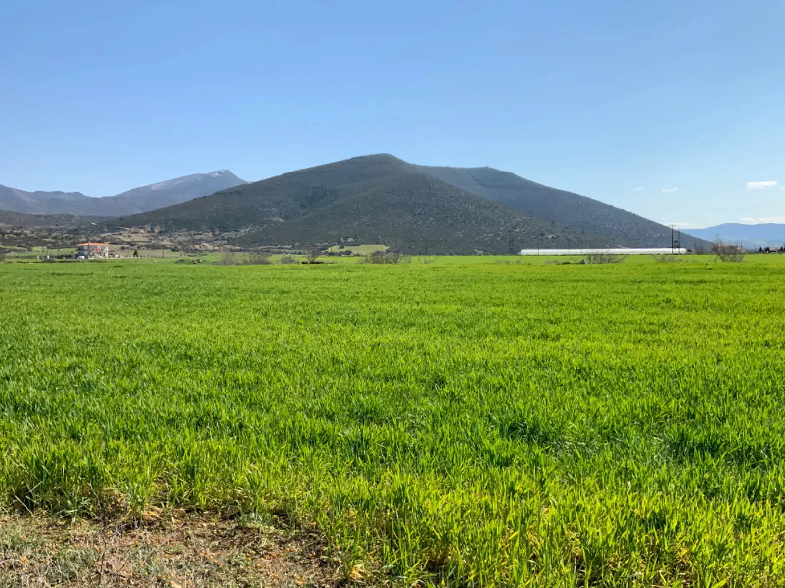 οικόπεδο προς πώληση 8730 τ.μ Βασιλικά Προάστια Θεσσαλονίκης
