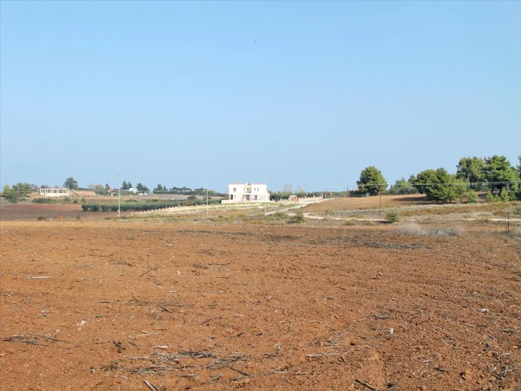 οικόπεδο προς πώληση 5875 τ.μ Κασσάνδρα Χαλκιδική
