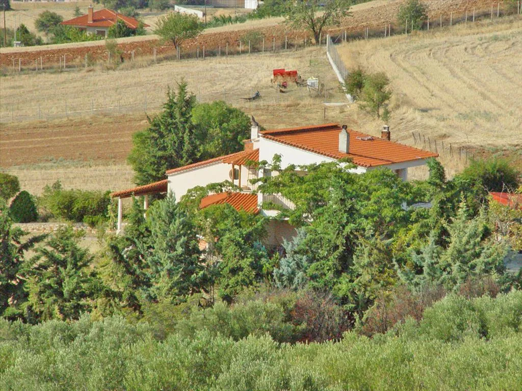 μονοκατοικία προς πώληση 360 τ.μ Πολύγυρος Χαλκιδική