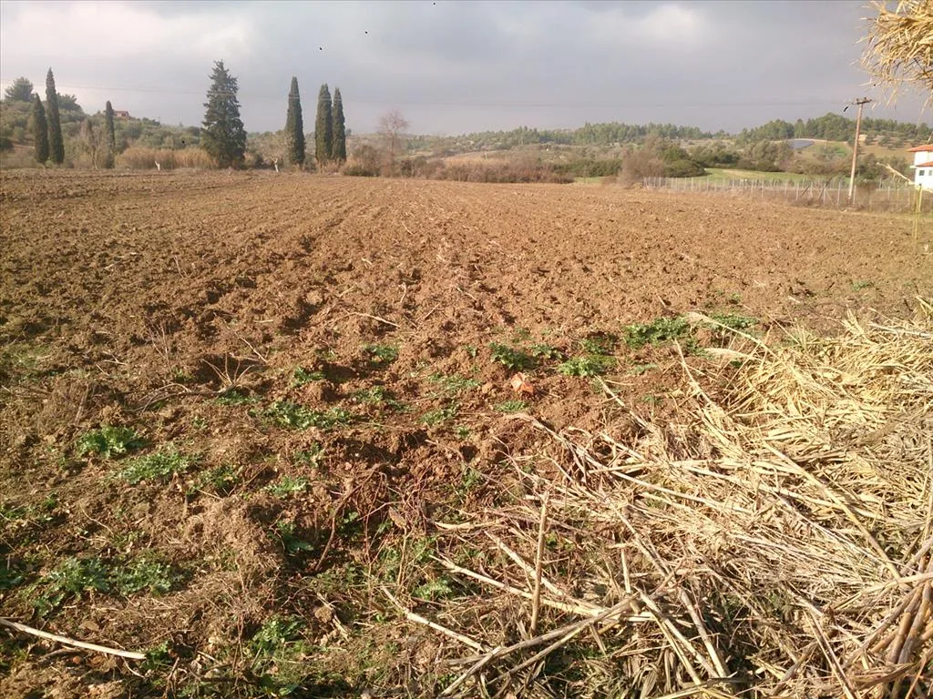 οικόπεδο προς πώληση 12150 τ.μ Κασσάνδρα Χαλκιδική