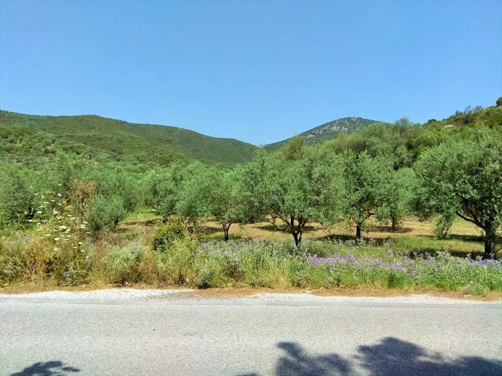 οικόπεδο προς πώληση 2920 τ.μ Αριστοτέλης Χαλκιδική