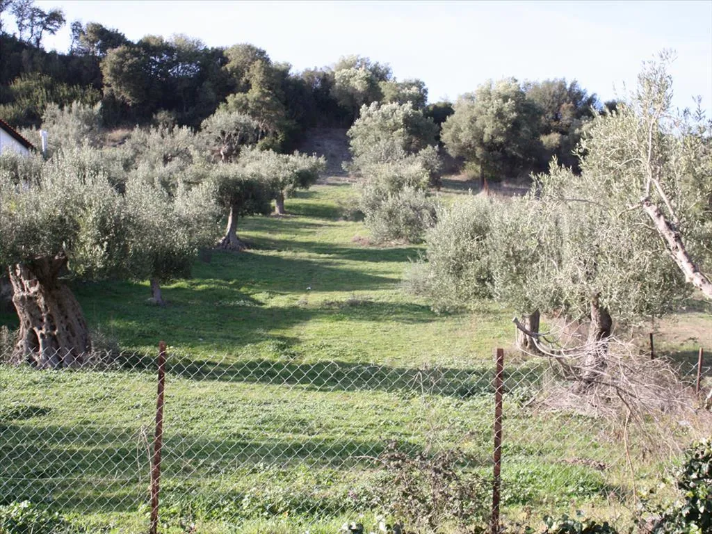 οικόπεδο προς πώληση  τ.μ Κασσάνδρα Χαλκιδική